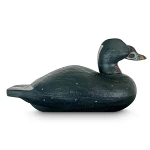 Dixie Decoy Surf Scoter Collectors Decoy