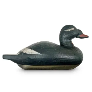 Dixie Decoy White-Winged Scoter Collector Decoy